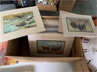 Box of Matted Prints Montana's outdoors, Wild Life
