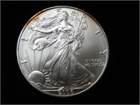 2006 American Silver Eagle 1 Oz. Coin