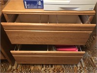 2 Drawer Wide Wooden File Cabinet