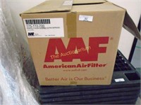 AAF Perfect Pleat Air filter's Opened Case