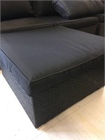 Modern Wicker Outdoor Seat with Cushion
