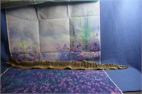 Rattlesnake Hide w/ Rattles attached