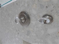 Waterworks Opus crystal shower controls