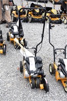 CUB CADET LE100 EDGER  **NEW**