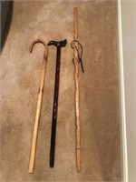 Cainâ€™s and walking stick