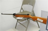 Pellet Rifle