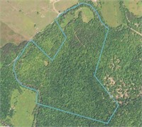 164+- Acres Wooded Farm Tract
