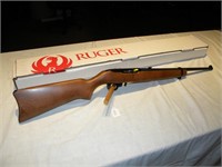 ruger 10-22 22cal