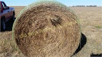 (90) Bales CRP Hay - 2nd Cutting