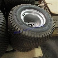2- Grassmaster 22x11 10NHS tire & rims