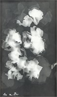 Attr. ELIZABETH MILLER US 1907-1977 Photogram