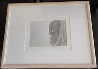 Framed Photograph, Signed By Artist 18” X 21”