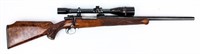 Gun FN Wildcat Bolt Action Rifle in 220-250 Blued