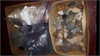 Box of rocks, shells and sand