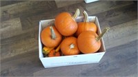 Box of pumpkins and gourds