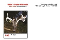 Y 627 Trophy Buck