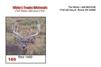 Red 1469 Trophy Buck