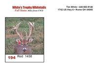 Red 1458 Trophy Buck