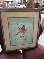 Signed Roger Tory Peterson American Robin