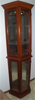 LIGHTED CURIO CABINET WITH GLASS SHELVES