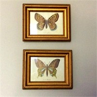 2 Butterfly Prints