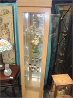 TALL LIGHTED DISPLAY CASE
