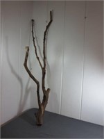 *Nice Piece of Driftwood (Over 4')