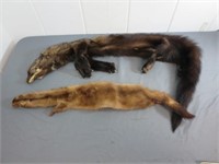 Pair of Animal Pelts - One Mink, One Unknown