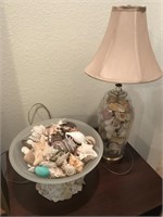 Sea shell lamp and collection on shells