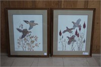 Pair of Upland Game Birds, Dove & Quail