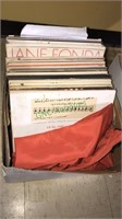Box lot of record albums and a lawn chair case,