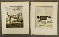 Early Dog Prints (Pair)