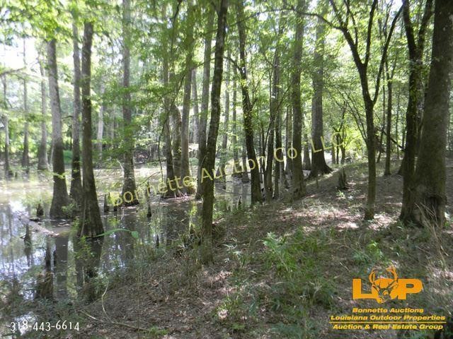 Online Only Real Estate Auction in Poplarville, MS