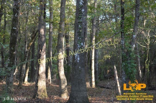 Online Only Real Estate Auction in Poplarville, MS