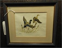 Framed print of flying Mallards 12” x 14”