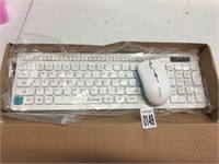 COMPUTER KEYBOARD WITH MOUSE