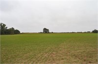 Farm #2- 28 +/- Acres