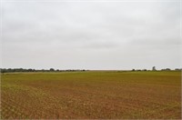 Farm #1- 240 +/- Acres