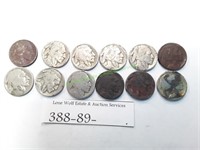 Twelve (12) Buffalo Nickels