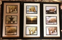 Polar Bear Photography Collection 3 Framed Sets