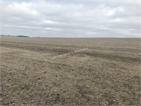 Excellent 80 +/- acres in Sherman Twp, Sioux Co
