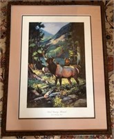 " Back Country Monarch " Signed by Artist