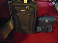 Skyway luggage, FROZEN transport cooler