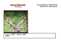 200" TROPHY BUCK    SELLS WITH LOT 184