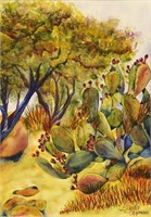 Gayela Chapman -Colors in the Arizona Desert