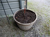 Large Flower Pot - Good For Hens & Chickens