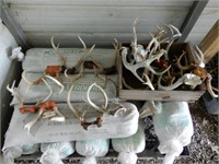 Box Of Antlers - Approx. 18-20 - See Photos