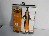 Brand new Gothic Witch costume