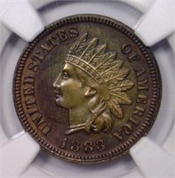 1883 Indian Cent NGC PF63 BN