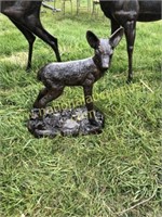 Deer Fawn On Base